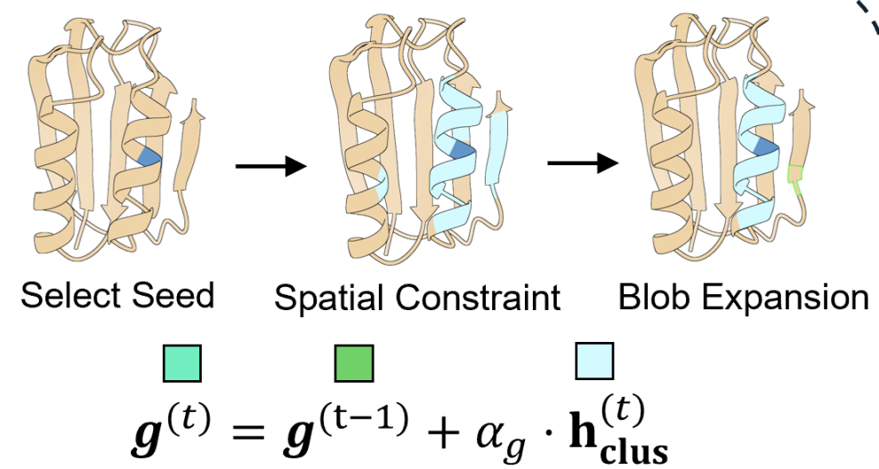 BioBlobs