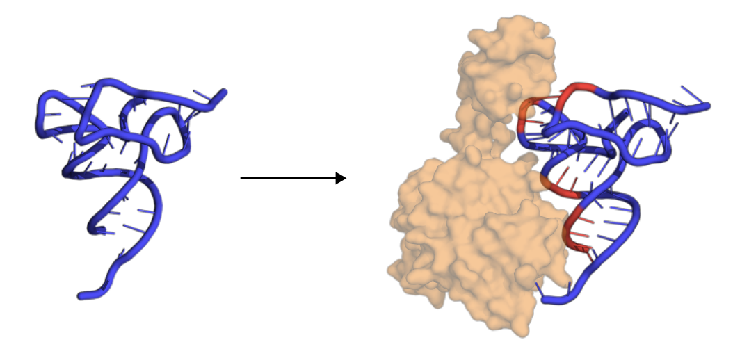 RNA 3D Structure-Function benchmark